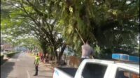 Kapolres Melawi Sampaikan Ucapan Terima Kasih Atas Informasi Dari Masyarakat
