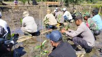 Kapolsek Matan Hilir Utara Hadiri Kegiatan Launching Penanaman 6.000 Bibit Mangrove di Kecamatan Matan Hilir Utara