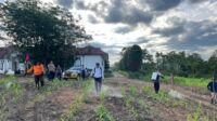 Kasat Samapta Polres Melawi Pimpin Perawatan Jagung