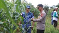 Sinergi Polres Bengkayang dan Lanud Harry Hadisoemantri Sukseskan Panen Raya Jagung Serentak Kuartal II bersama Presiden RI