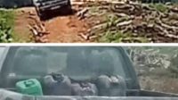 Mobil L300 Plat Merah Suplai BBM Ke Alat Berat, Diduga Bos Alif Konsumsi Solar Subsudi Untuk Proyek Replanting PT. SDK Aparat Tutup Mata,