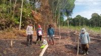 Penanaman Jagung Serentak di Mandor, Dukung Program Ketahanan Pangan Nasional