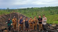 Kapolsek Kuala Behe Hadiri Penanaman Jagung Di Demplot Desa Kuala Behe Dukung Ketahanan Pangan