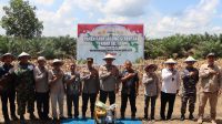 Polres Ketapang Laksanakan Panen Raya Jagung Serentak Kuartal III di Kecamatan Air Upas dan Gerakan Pangan Murah