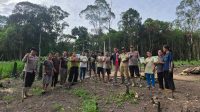 Polsek Kuala Behe Gencar Lakukan Penanaman Jagung Di Desa Wilayah Kecamatan Kuala Behe