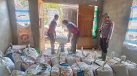 POLSEK MERANTI MELALUI KOPERASI POLRES LANDAK LAKUKAN PEMBELIAN JAGUNG KERING HASIL PANEN PERDANA DI LAHAN DEMPLOT POLSEK MERANTI