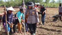 Kapolres Landak Pimpin Penanaman Perdana Demplot Presisi Kwartal IV di Desa Nyiin