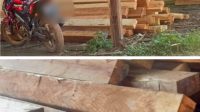 BP3K-RI Kalimantan Barat Desak APH Tindak Tegas Dugaan Pengolahan Kayu Ilegal di Bengkayang