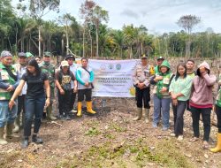 Dukung Ketahanan Pangan, Kapolsek Sebangki Bersama Forkopimcam Tanam Jagung di Lahan BUMDes