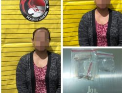 Seorang ibu di Mandor Ditangkap Polisi karena Diduga sebagai pengedar Shabu