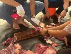 BRI Area Warung Buncit Sukses Gelar Penyembelihan 2 Sapi 7 Kambing di BO Pasar Minggu