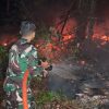 Gerak Cepat Kodim 1204/Sanggau dan tim Gabungan Padamkan Karhutla 10 Hektare di Tayan Hilir