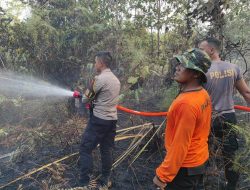 Api Melahap 1,4 Hektare Lahan di Sanggau Permai, Tim Gabungan Bergerak Cepat