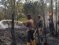 Api Membakar Lahan di Tepi Trans Kalimantan, Polsek Tayan Hilir Bergerak Cepat