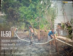 Api Berhasil Dipadamkan, Koramil 1204-09/Toba Intensifkan Penanganan Karhutla