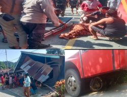 Satu Orang Meninggal Dunia dalam Kecelakaan Bus Perintis dan Sepeda Motor di Silat Hilir, Polisi Lakukan Penyelidikan