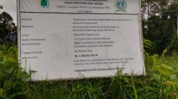 Anggaran Rp3,38 Miliar, Pekerjaan Cetak Sawah Kapuas Hulu, Dipertanyakan, Lahan Tersebut Tidak Berfungsi