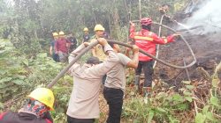 Gerak Cepat Cegah Api Meluas, Tim Gabungan Tangani Karhutla di Penyeladi
