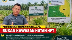 HUMAS PT PSM Tegaskan Perkebunan Berada Di Areal APL, Bukan Kawasan Hutan HPT